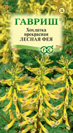 хох