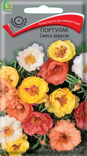 portulak_smes_okrasok (1)