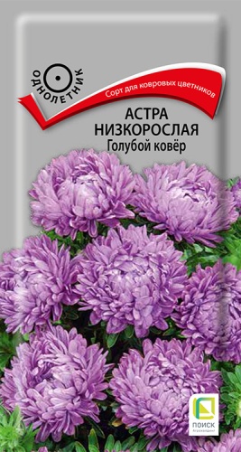 astra_nizkoroslaya_goluboi_kover