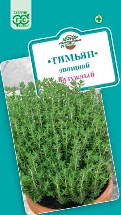 Тимьян (1)