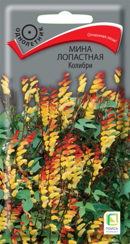 mina_lopastnaya_kolibri