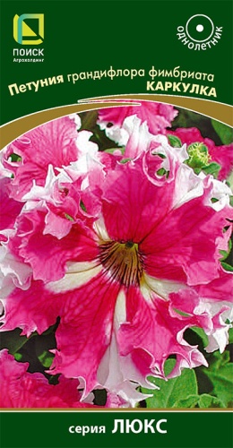 petunia_grandiflora_fimbriata_karkulka