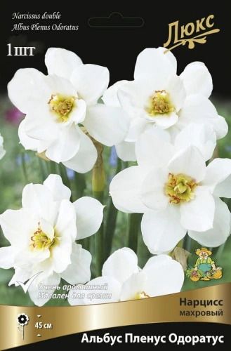 image (18)