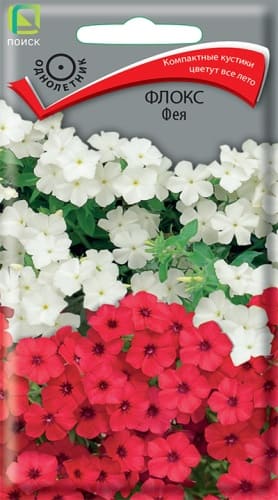 floks_feya (1)