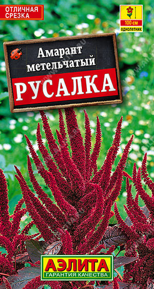 рус (1) (1)