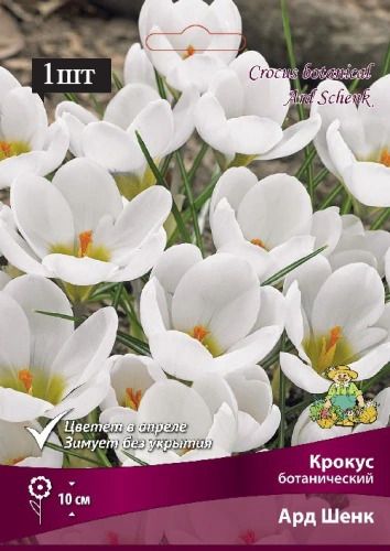 image (8)