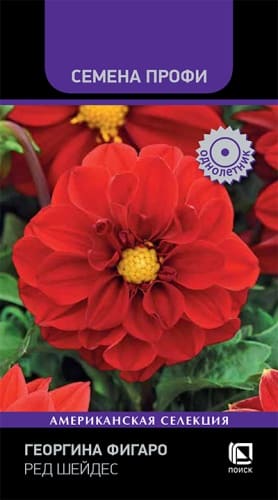 georgina_figaro_red_shades (1)