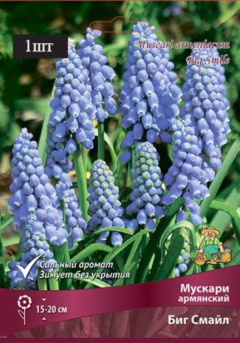 image (12)