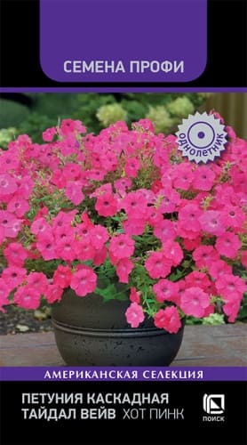 petuniya_kaskadnaya_taydal_veyv_khot_pink (1)