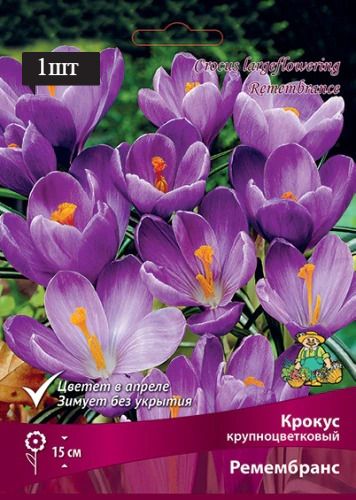image (17)