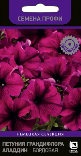 petunia_grandiflora_aladdin_bordovaya