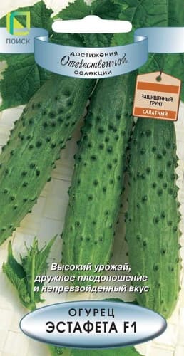 ogurec_estafeta (1)
