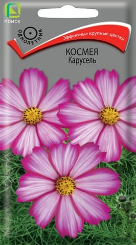 kosmeya_karusel (1)