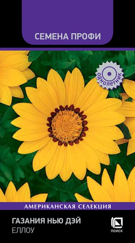 gazania_new_day_yellow