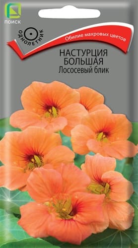 nastrucia_bolshaya_losos_blik (1)