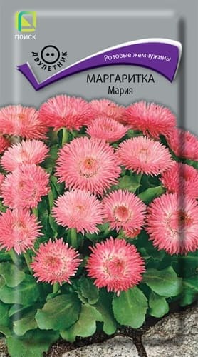 margaritka_maria (1)