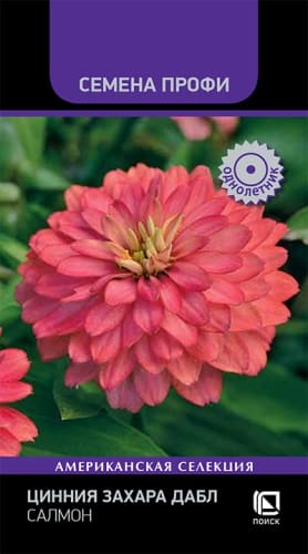 cinnia_zahara_dabl_salmon (1)