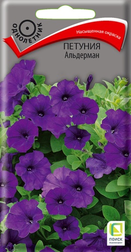 petunia_ampel_f1_shock_wave_kosmo