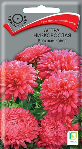 astra_nizkoroslaya_krasny_kover