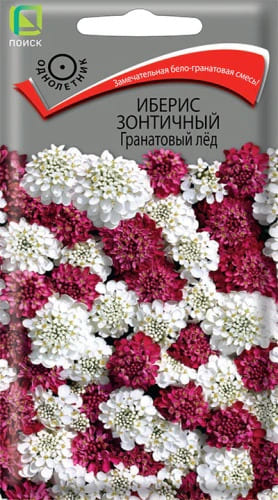 iberis_zont_granatovy_led (1)