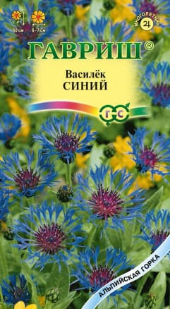 Василек Синий Многолетний (1)