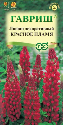 Люпин Красное пламя