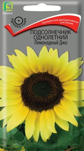 podsolnechnik_odnoletny_limonadny_joe (1)