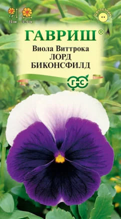 Анютины глазки Лорд Биконсфилд