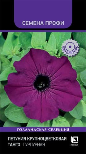 petunia_krupnocvet_tango_purpurnaya (1)