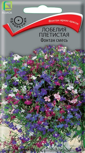lobelia_pletistaya_fontan_smes (1)