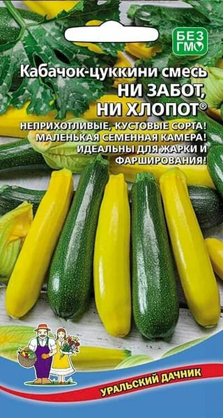 Кабачок цуккини Ни забот, ни хлопот