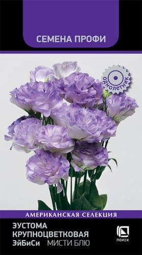 eustoma_krupnotsvetkovaya_eybisi_misti_blyu (1)