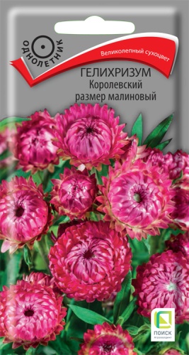gelihrizum_korolevskiy_razmer_malinovy (1)