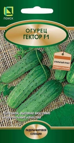 ogurec_gektor (1) (1)