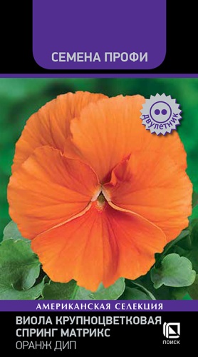 viola_krupnocvet_spring_matrix_orange_deep