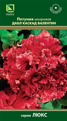 petuniya_makhr_dabl_kaskad_valentin