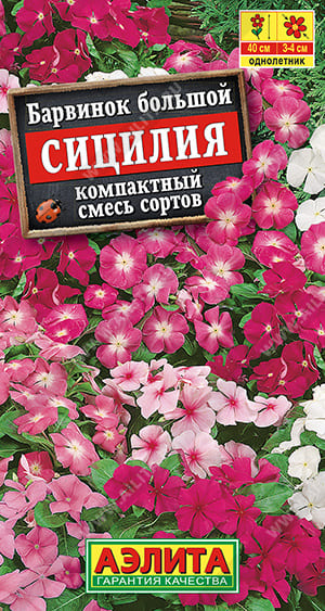 03 (1)