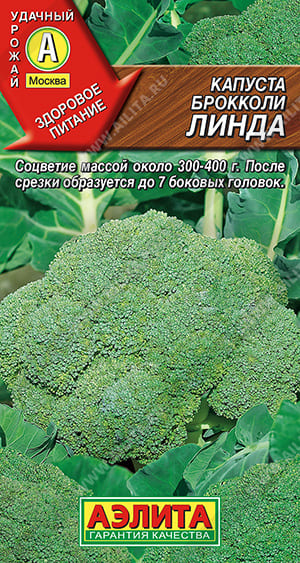 Линда (1)