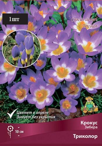 image (16)