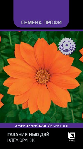 gazania_new_day_clear_orange