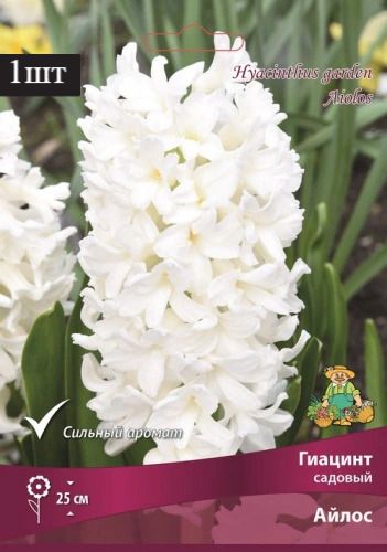 image (7)