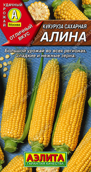 Алина (1) (1)