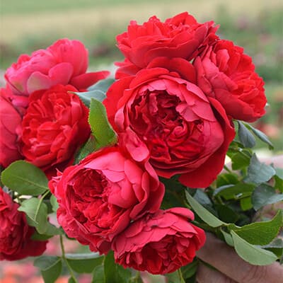 98024888-cf7e-4fd7-a079-cdb936201ef8