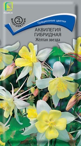 akvilegia_gibrid_zheltaya_zvezda (1)