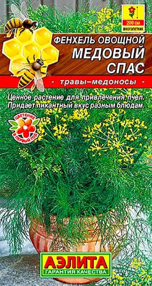 Фенхель овощной (1)