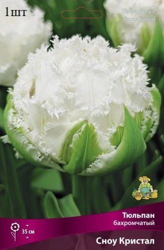 image (23)