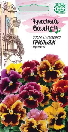 Виола Грильяж