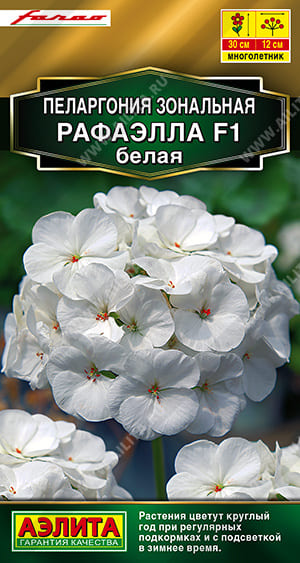 fe9dffd5_1536_11e7_aaf5_e4115badda84_dcf4ae23_69db_11ef_812c_0cc47adb9c64 (1)