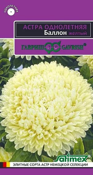 баллон (1) (1)