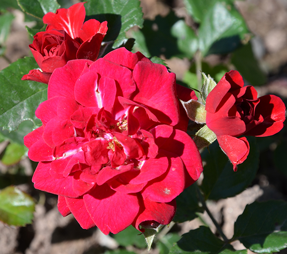 sbwnnzwmgyixu8aff0jal1fa1nnh6p9t